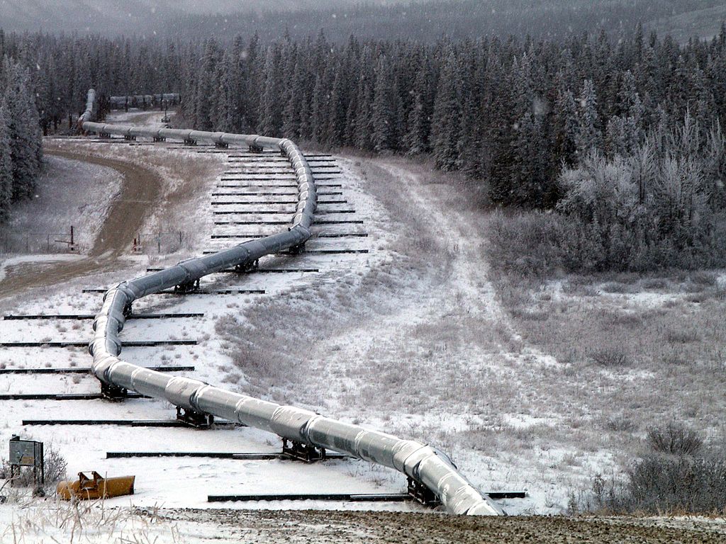 a train traveling through a snow covered forest