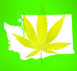 cannabis leaf superimposed over outline of state