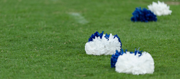 cheerleaders with american football pom poms on the field