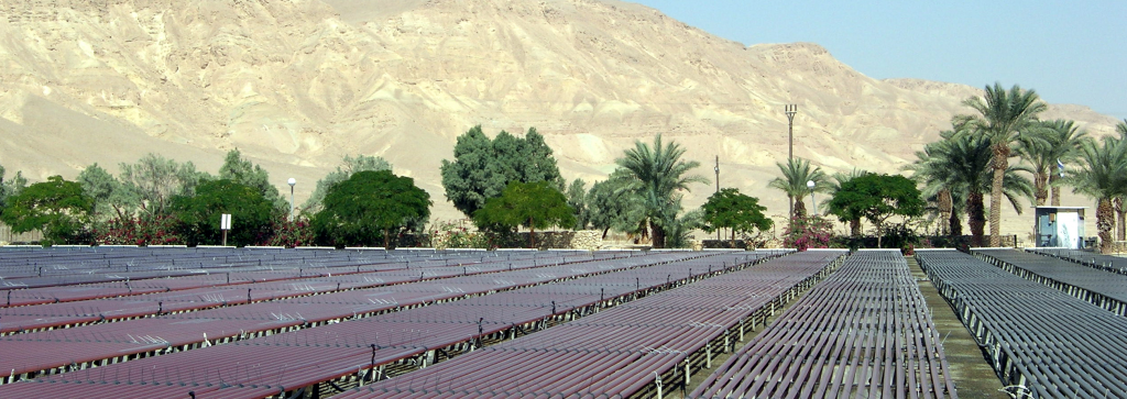 Aquaculture in Kibbutz Ketura in the Negev Desert. Source: Wikipedia.