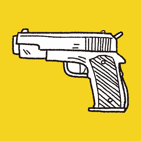 Education Often Skimmed Over in Gun Violence Debate