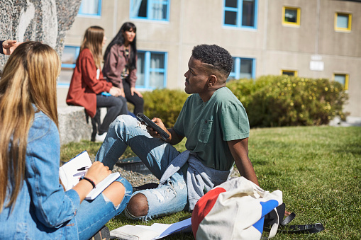 young adults sitting on grass