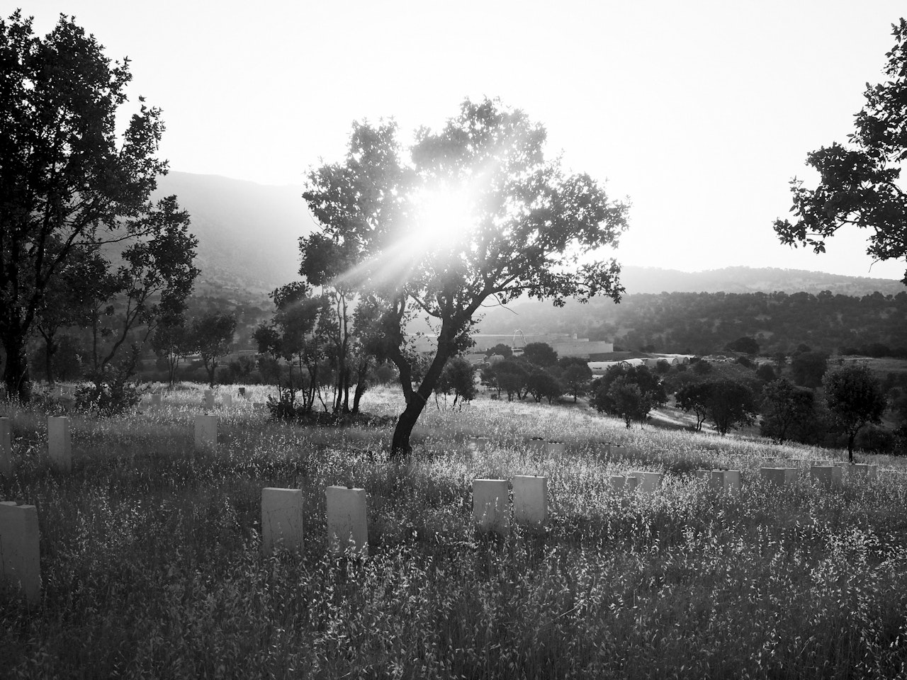 Kurdish Nationalism At An Impasse