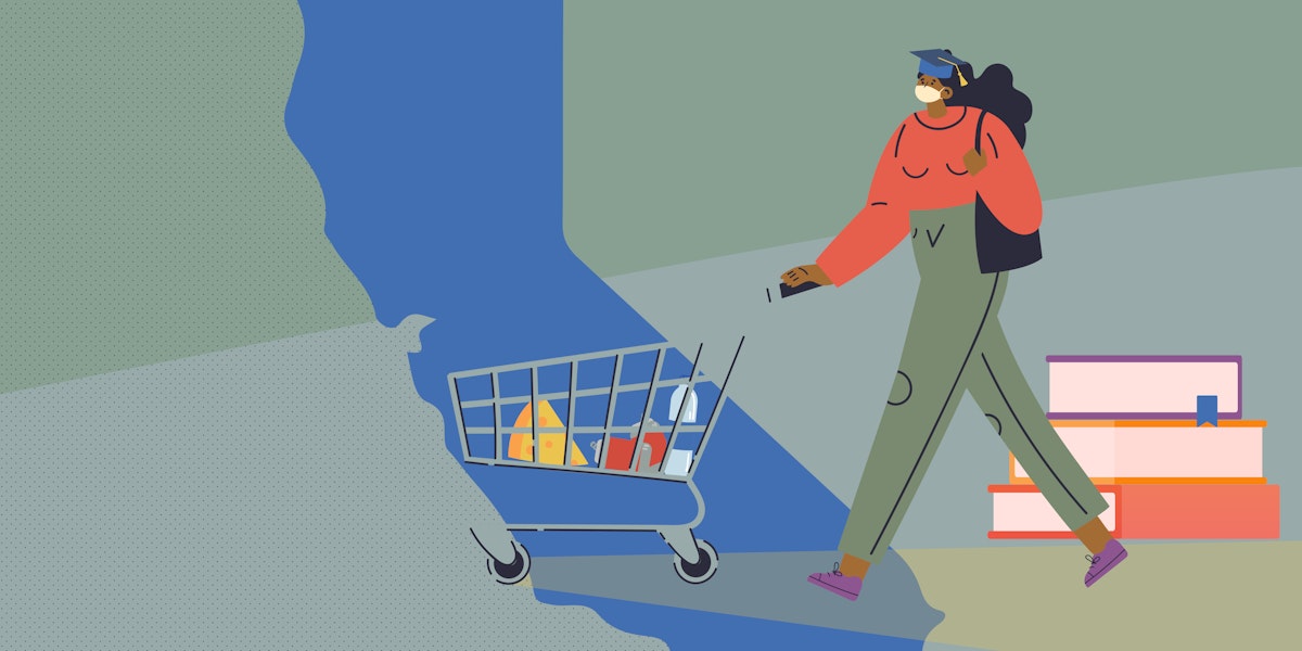 vector illustration of woman pushing grocery cart