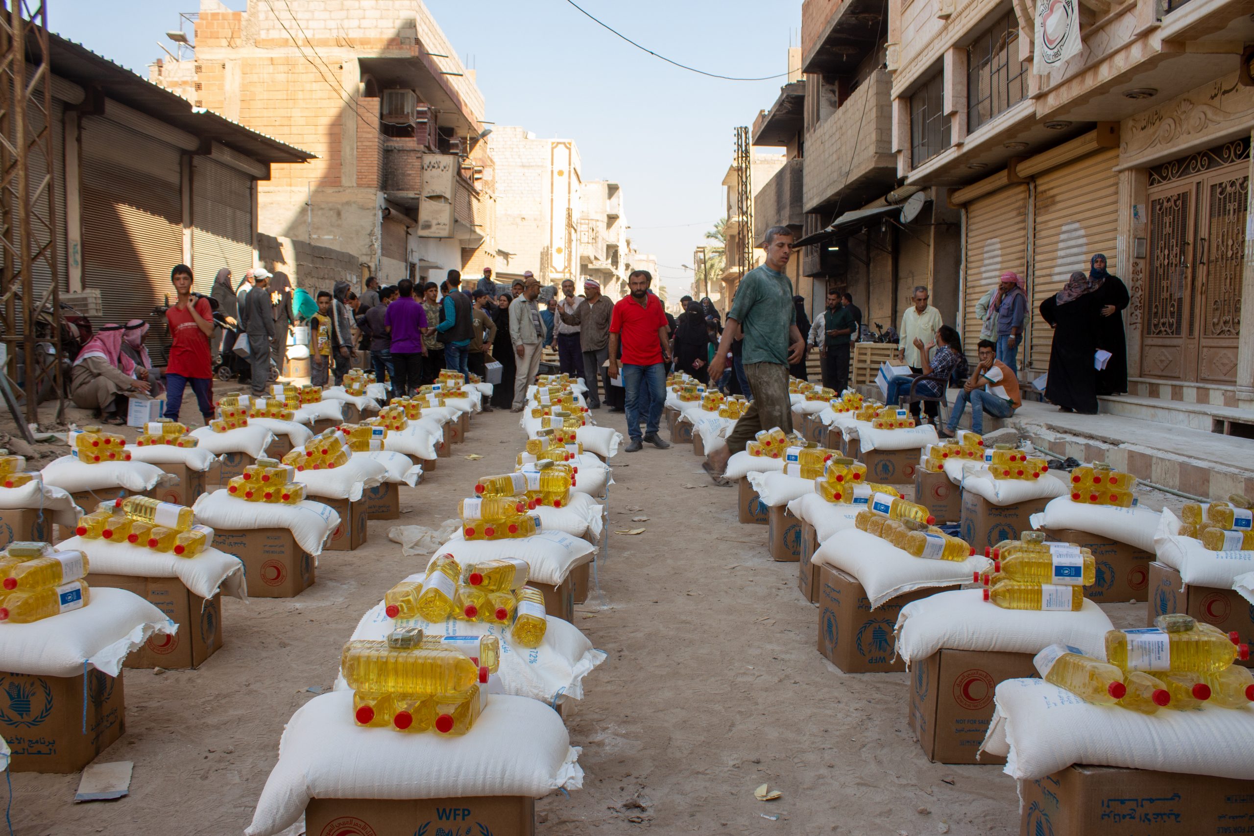 Women in northwest Syria take on physically demanding jobs - Al