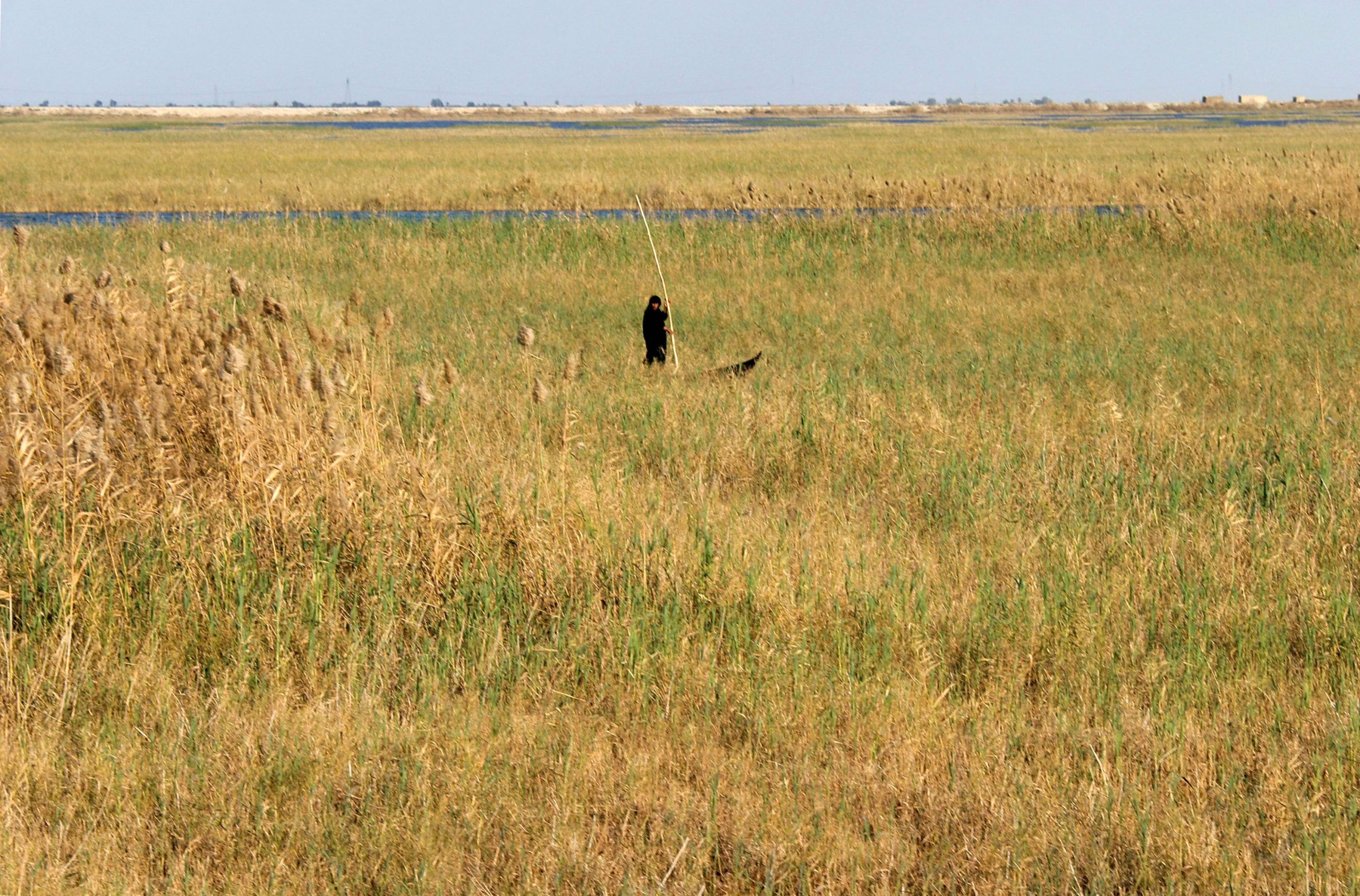 AMMARAH, IRAQ - FEBRUARY 8:  An Iraqi marsh arab woman punts in the marshes February 8, 2005 south of the Iraqi city of Ammarah. Criminality, not insurgency, is the biggest issue for British troops in Ammarah, with gangs frequently kidnapping people and stealing cars at gunpoint on the main road running through the province. Ammarah is Iraq's poorest province.  (Photo by Ghaith Abdul-Ahad/Getty Images)