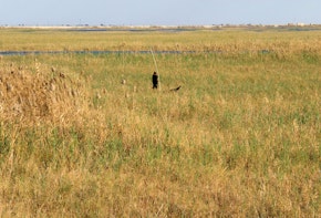 AMMARAH, IRAQ - FEBRUARY 8: An Iraqi marsh arab woman punts in the marshes February 8, 2005 south of the Iraqi city of Ammarah. Criminality, not insurgency, is the biggest issue for British troops in Ammarah, with gangs frequently kidnapping people and stealing cars at gunpoint on the main road running through the province. Ammarah is Iraq's poorest province. (Photo by Ghaith Abdul-Ahad/Getty Images)