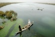 AL-FOHUD, IRAQ - JUNE 3: A Marsh Arab guides his boat through a marsh area that is slowly being re-flooded with water June 3, 2003 in Al-Fohud, Iraq. The Marsh Arabs have inhabited the swamplands in the area for approximately 5,000 years, but their lifestyle was virtually destroyed by Saddam Hussein following the 1991 Shiite uprising in the region. Hussein constructed dams and diverted waterways to drain the marshes in an effort to destroy the Marsh Arabs. Following the war, some dams have been re-opened allowing the marshes to slowly begin to refill and some Marsh Arabs are beginning to return to their old lifestyle. (Photo by Mario Tama/Getty Images)