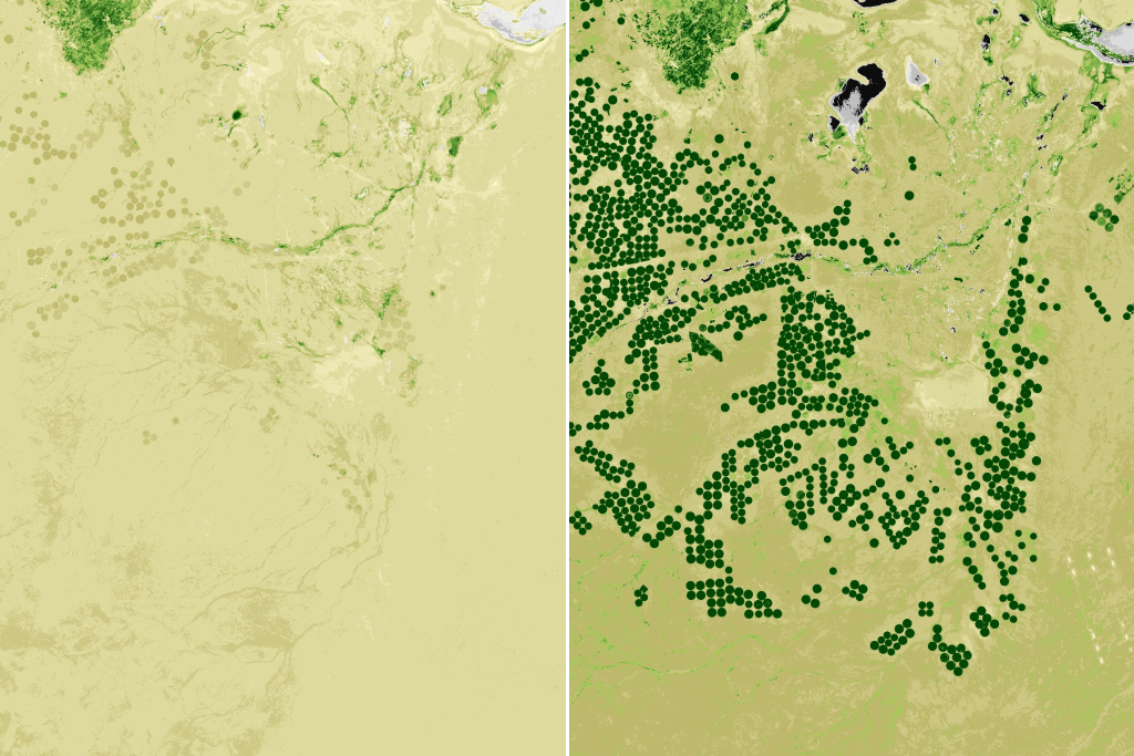 The increase in green Spots clearly indicates the expansion of agricultural areas near the road that connects Karbala and Najaf, between April 2017 (left) and April 2023 (right). Source: Sentinel Hub Satellites (EO browser), NDVI images.