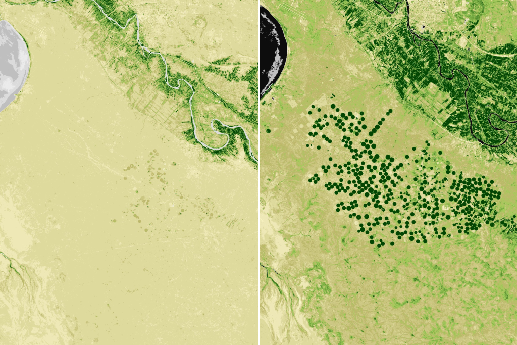 The increase in green spots clearly indicates the expansion of agricultural areas from June 2017 (left) to March 2023 (right) south of Lake Habbaniyah in Anbar. Source: Sentinel Hub Satellites (EO browser), NDVI images.